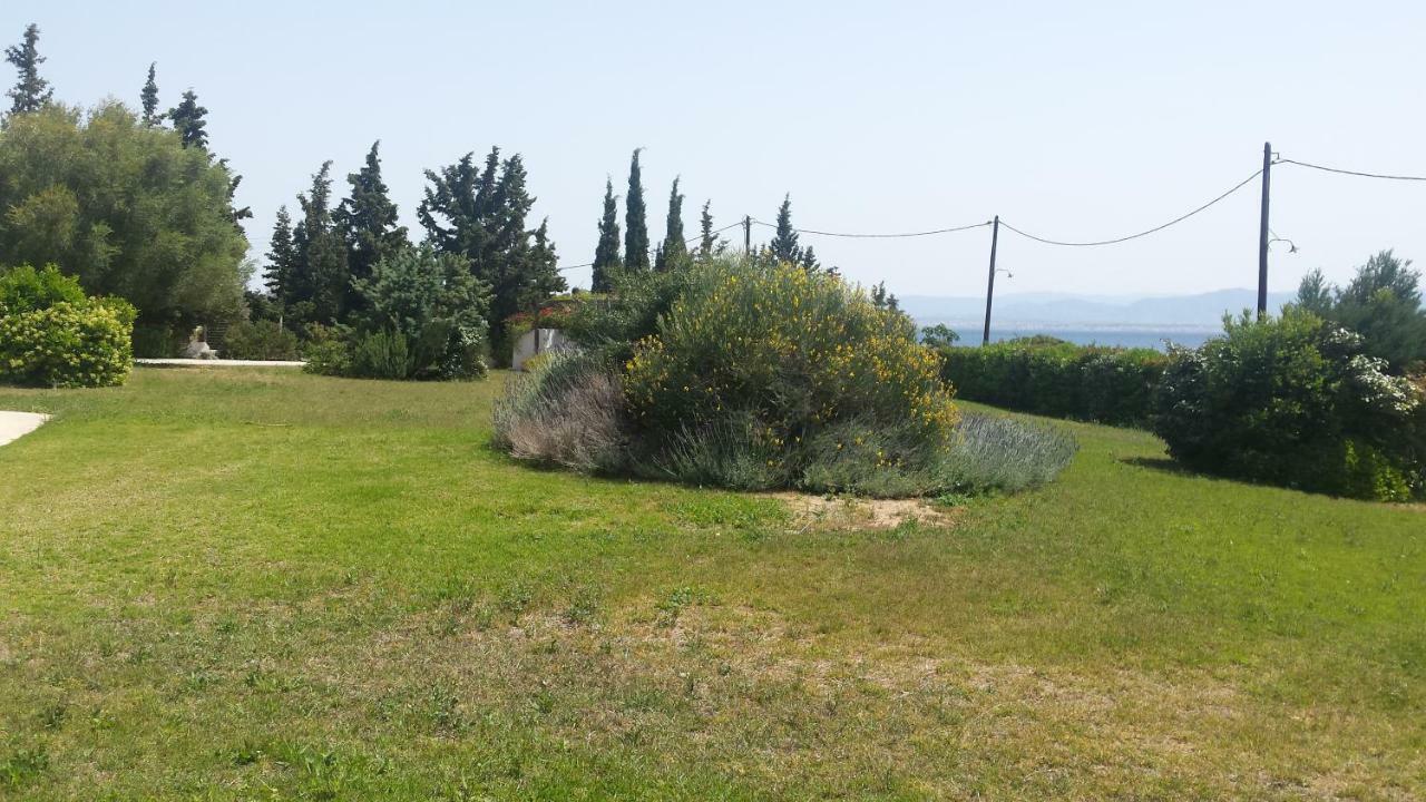 Beautiful House By The Sea,Loutraki Skaloma. Βίλα Εξωτερικό φωτογραφία